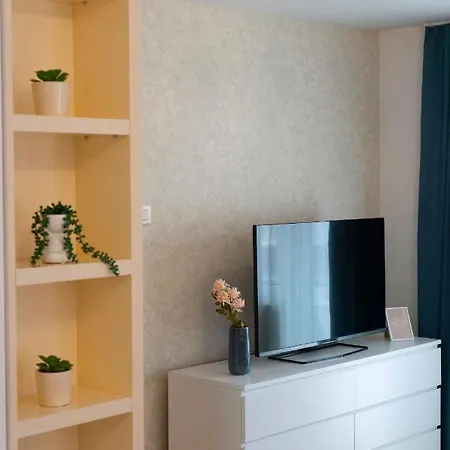 Paradisus Apartment